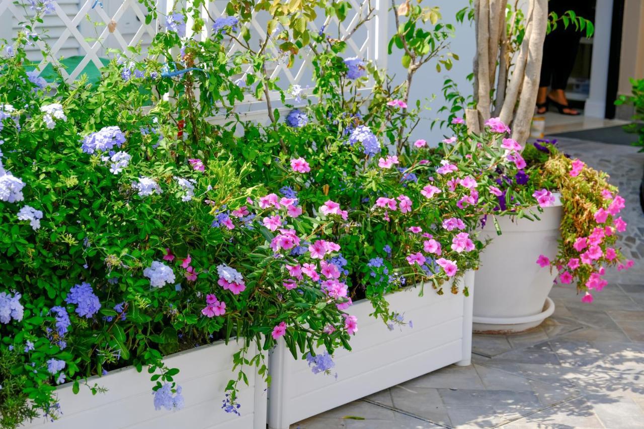 B&B Toci Volla  Εξωτερικό φωτογραφία